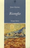 risveglio