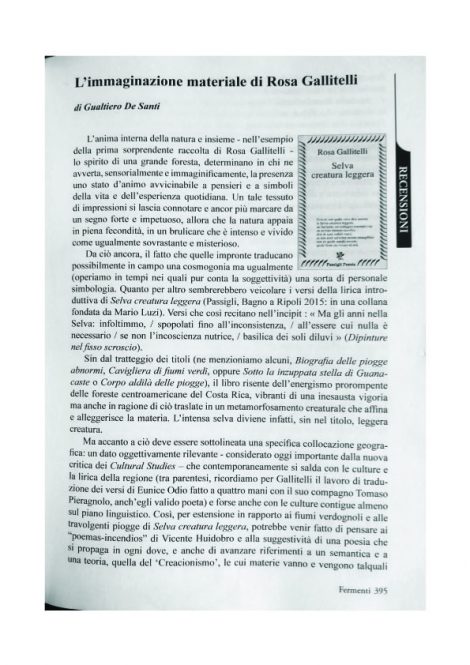 limmaginazione-materiale-di-rosa-gallitelli-in-fermenti-n-2461