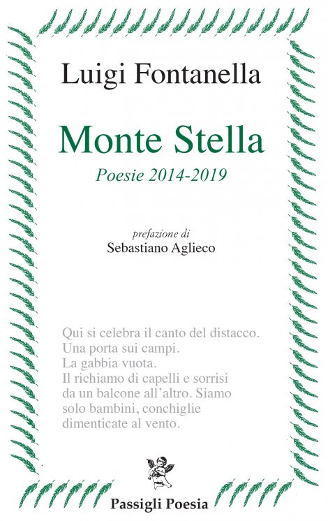 monte-stella-cop