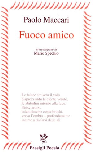 Fuoco amico