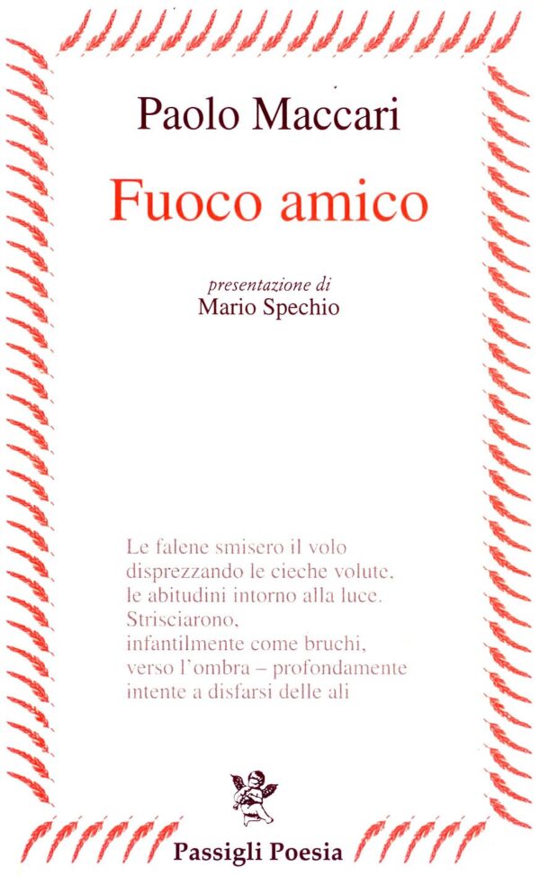Fuoco amico