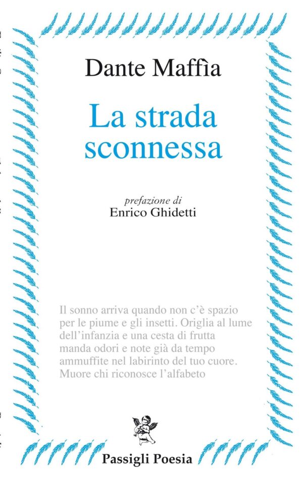 La strada sconnessa