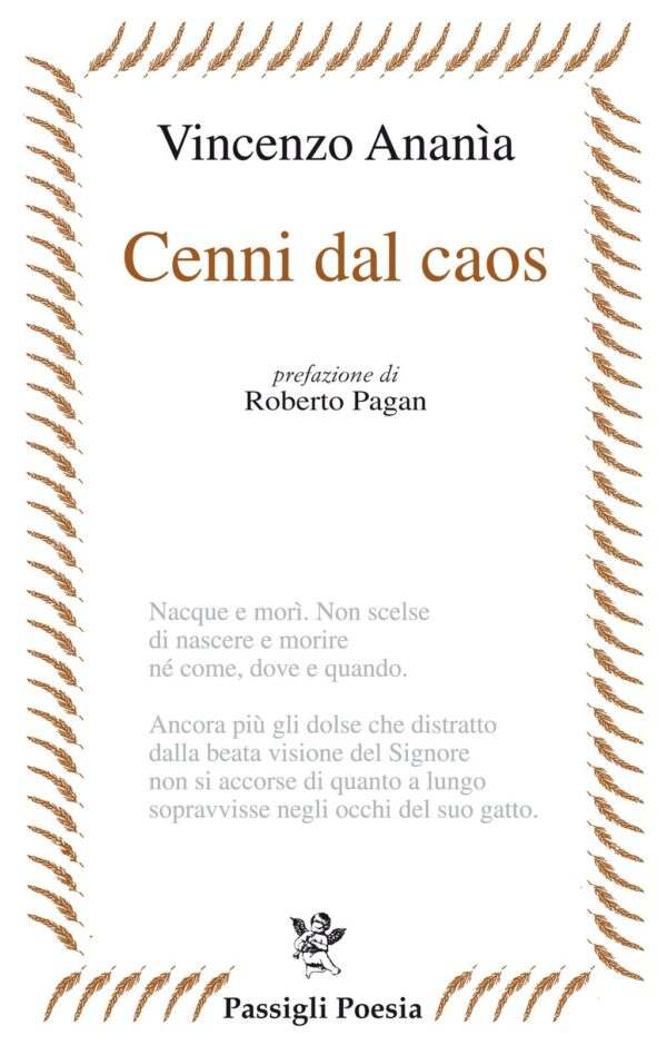 Cenni dal caos