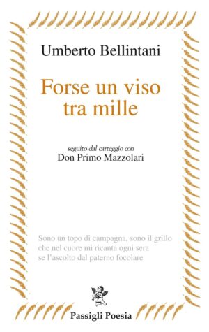 Forse un viso tra mille