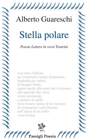Stella polare