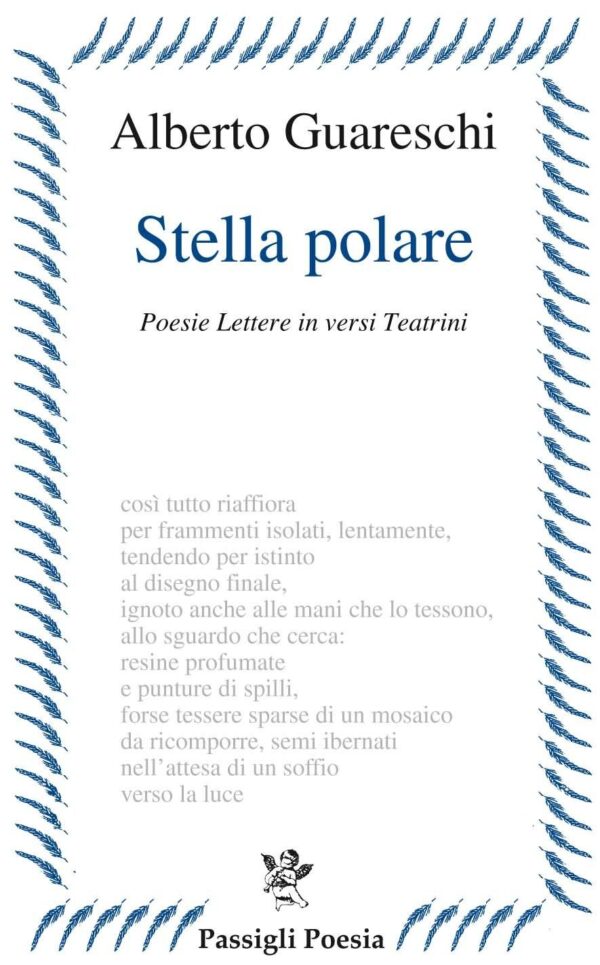 Stella polare
