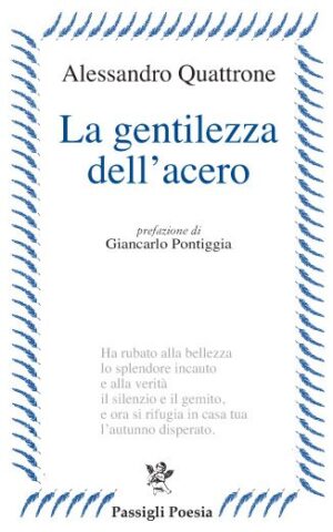 La gentilezza dell'acero