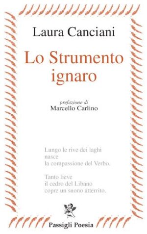 Lo strumento ignaro