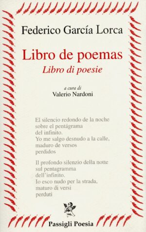 Libro de poemas