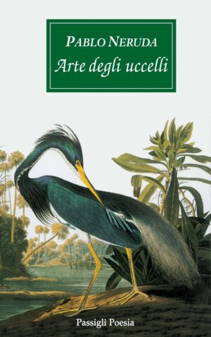Arte degli uccelli