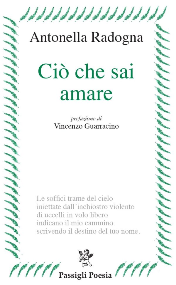 Ciò che sai amare