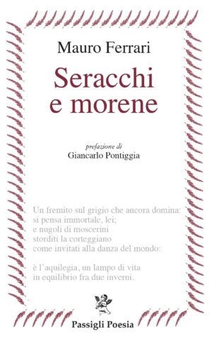 Seracchi e morene