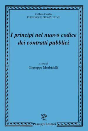 I principi nel nuovo codice dei contratti pubblici
