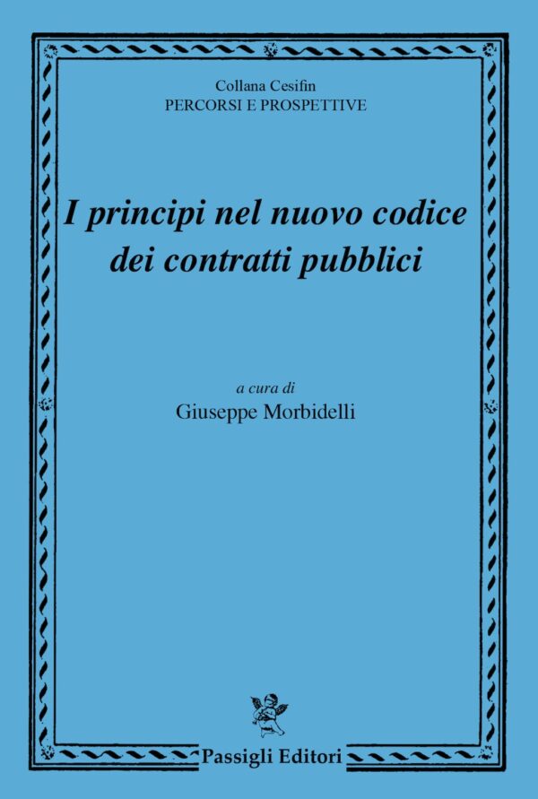 I principi nel nuovo codice dei contratti pubblici